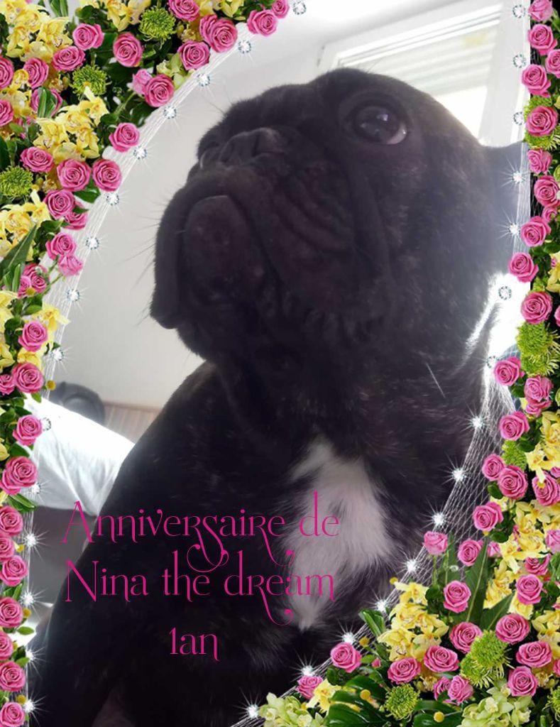 Du Royaume Des Amazones - Anniversaire de la petite dernière Nina the dream