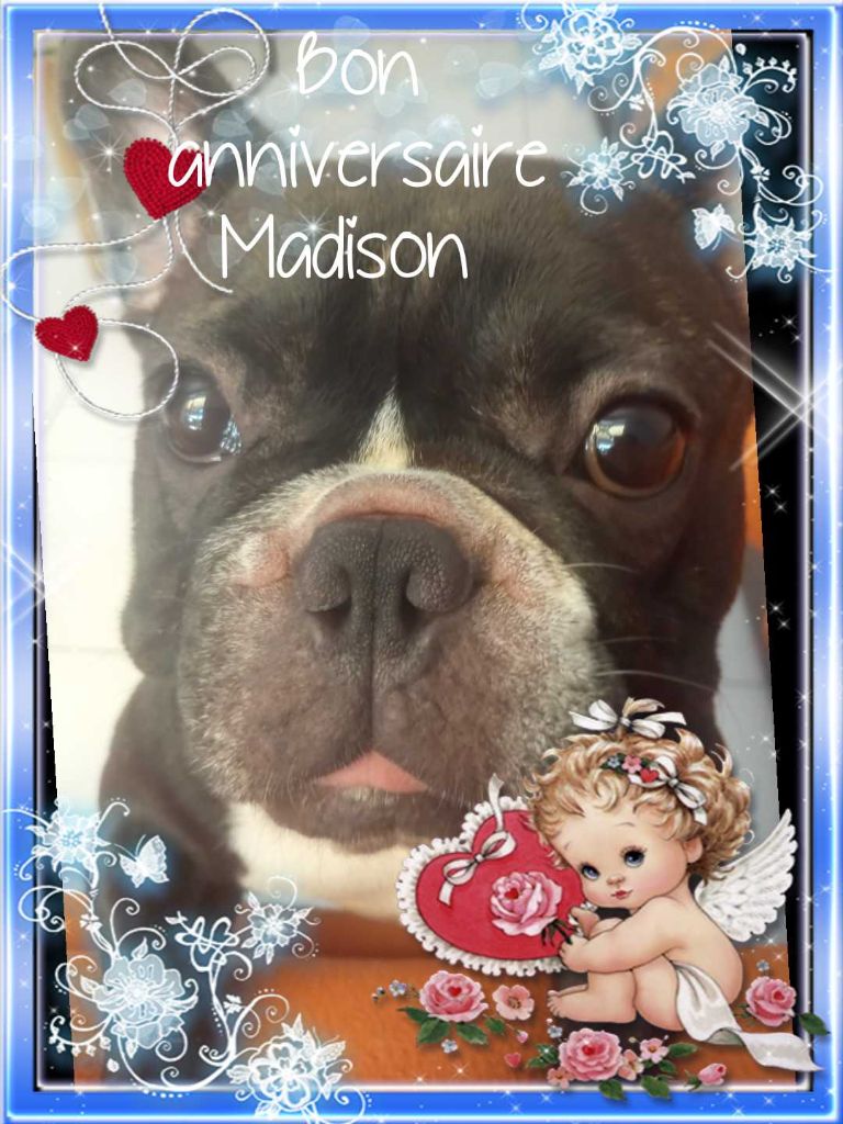 Du Royaume Des Amazones - Anniversaire de Madison et Marcus