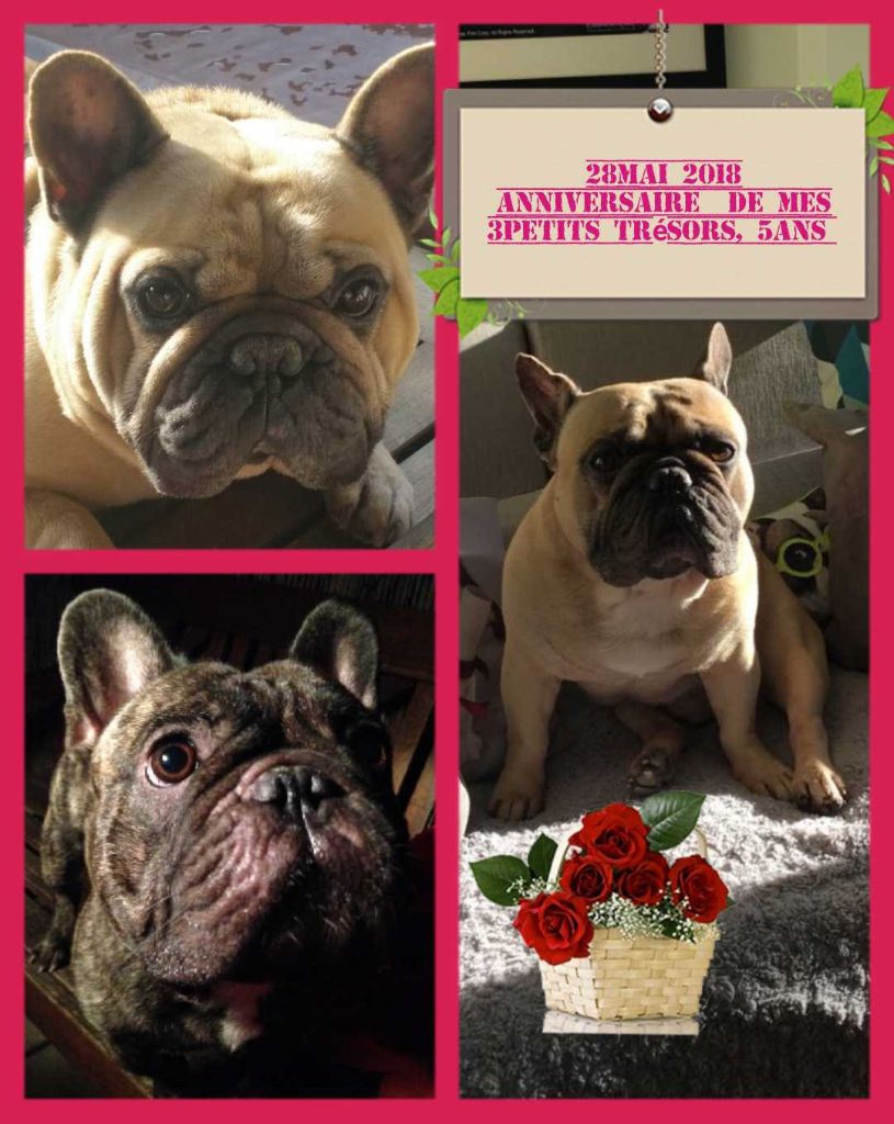 Du Royaume Des Amazones - Anniversaire de mes 3petits trésors 5ans déjà