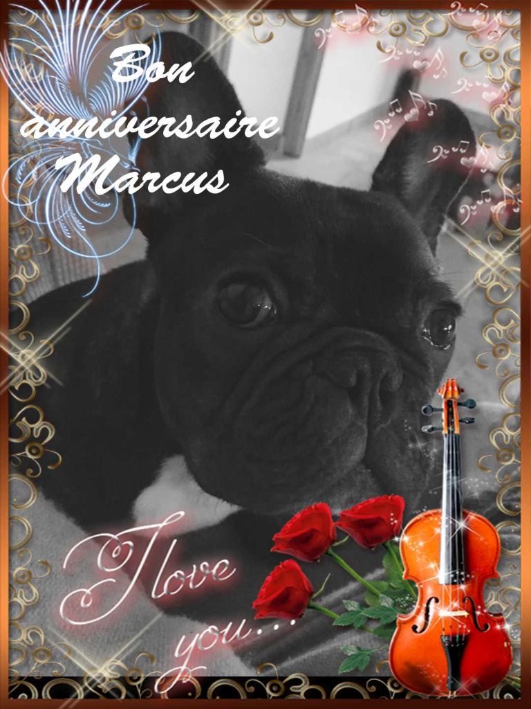Du Royaume Des Amazones - Anniversaire de Marcus et madison