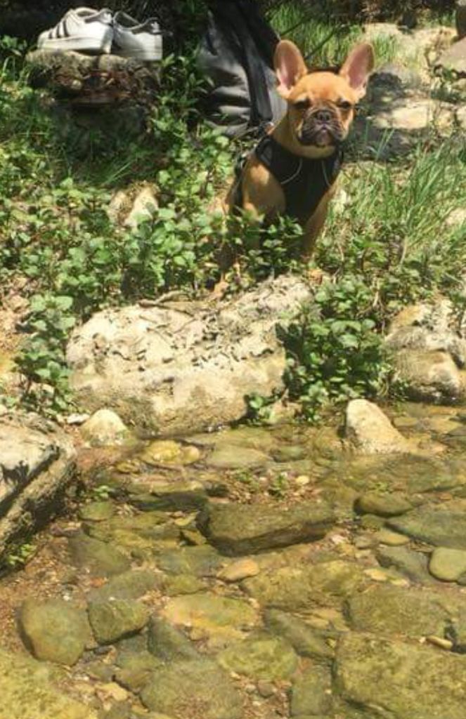 Du Royaume Des Amazones - Odessa au bord de la rivière