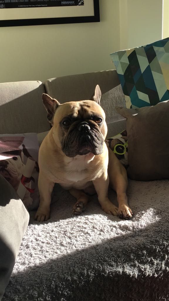 Du Royaume Des Amazones - Mon beau Bufford