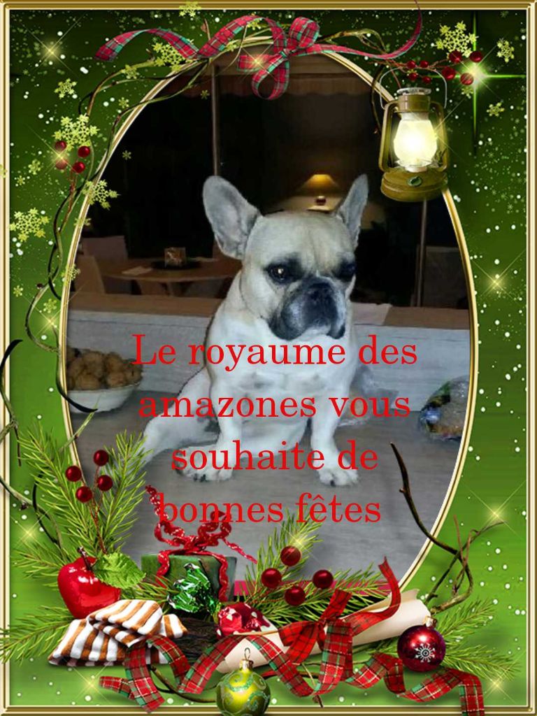 Du Royaume Des Amazones - Noël 2018