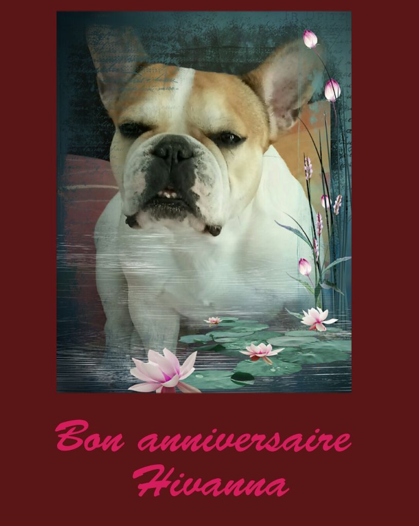 Du Royaume Des Amazones - Anniversaire d'hivanna